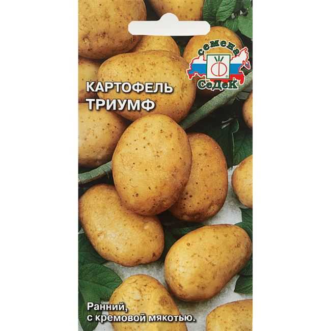 Раннеспелый сорт картофеля «нандина» с хорошей лежкостью