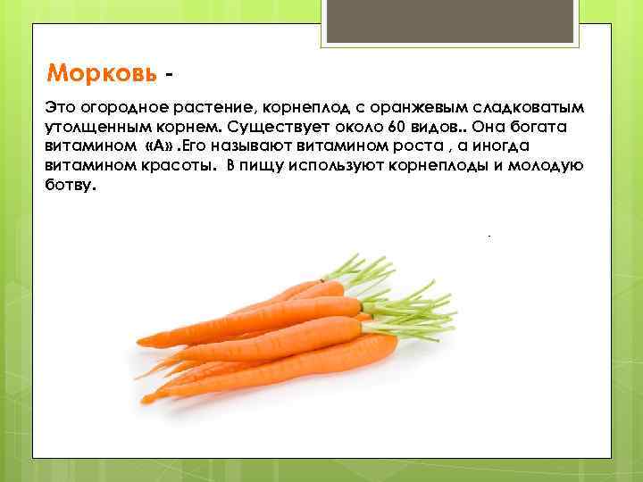 Белая морковь: что это такое, как называются наиболее распространенные сорта, а также сложно ли выращивать данный корнеплод, в чем польза и вред овоща? русский фермер