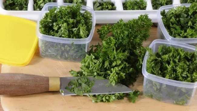 Правила и условия хранения листьев салата