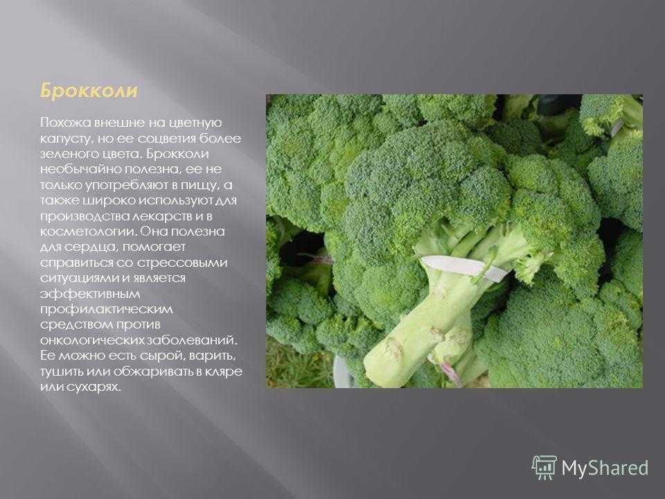 Чем отличается брокколи от цветной капусты: сравнительная характеристика