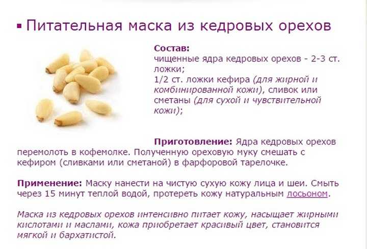 Кедровые орехи - калорийность, полезные свойства, польза и вред, описание