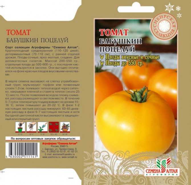 Томат “бабушкино лукошко”: один из лучших сортов для выращивания в теплице