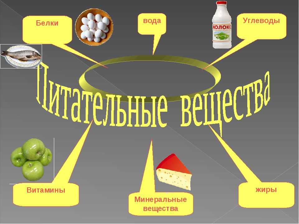 Витамины в арбузе: белки, жиры, углеводы, макро- и микроэлементы