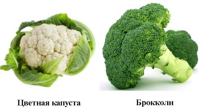 Сравнение брокколи и цветной капусты