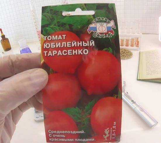 Гибрид обладающий массой достоинств — томат стреза f1: описание сорта, отзывы об урожайности
