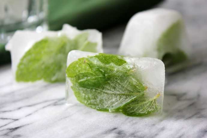 Кубики льда для лица: протирание, рецепты, лед из петрушки и ромашки