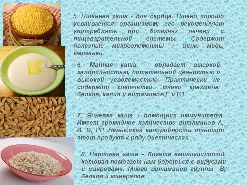 Маш - крупа: что это такое и как готовить, полезные свойства