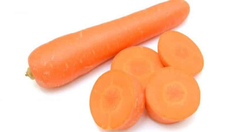 Морковь дордонь: описание сорта и фото, характеристика гибрида f1, отзывы об урожайности
