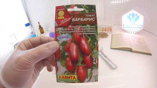 Томат бонапарт f1: характеристика и описание сорта, фото помидоров и отзывы об урожайности гибрида