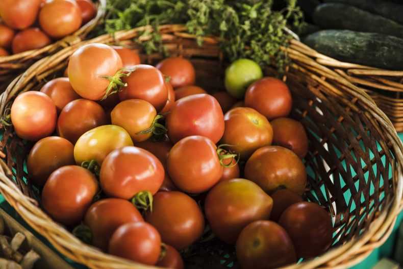 Как хранить зеленые помидоры: выбор способа и рекомендации