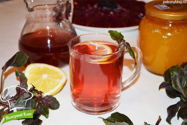 Чай с базиликом: польза и вред, рецепты приготовления с мятой, имбирем
