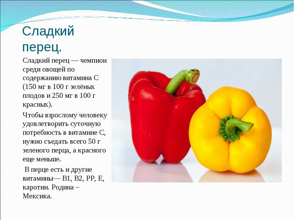 Болгарский перец: польза и вред для организма мужчин и женщин, лечебные свойства, норма потребления, калорийность