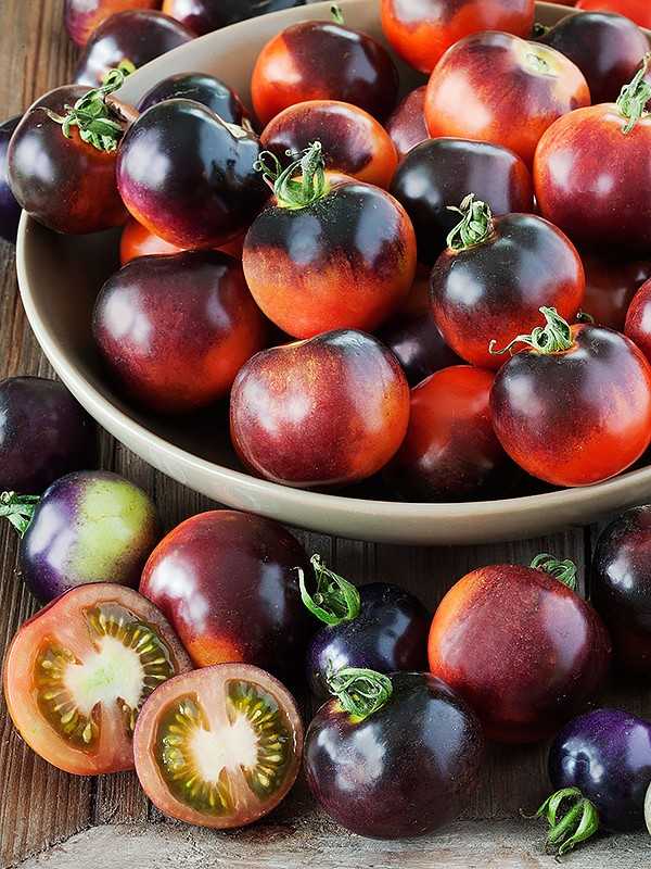 Низкорослые сорта томатов для теплиц и открытого грунта