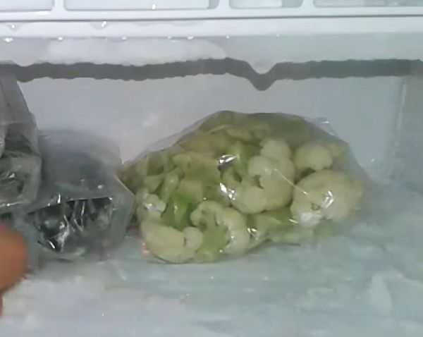 Можно ли солить замороженную капусту