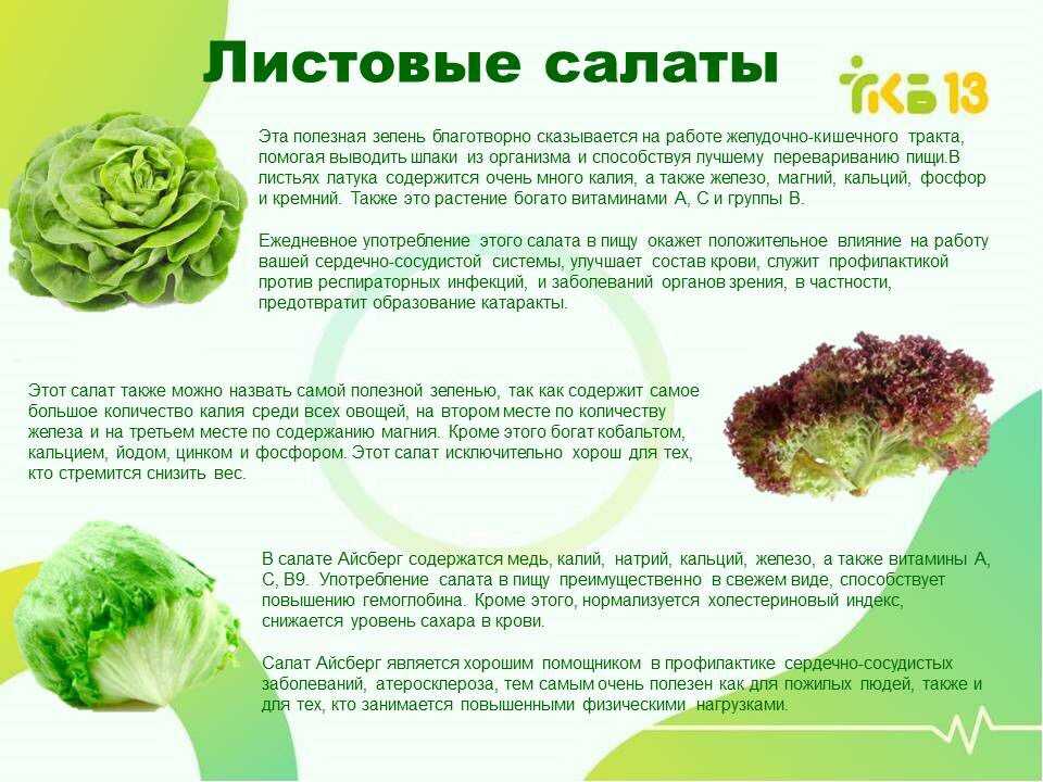 Укроп: лечебные свойства и противопоказания | food and health