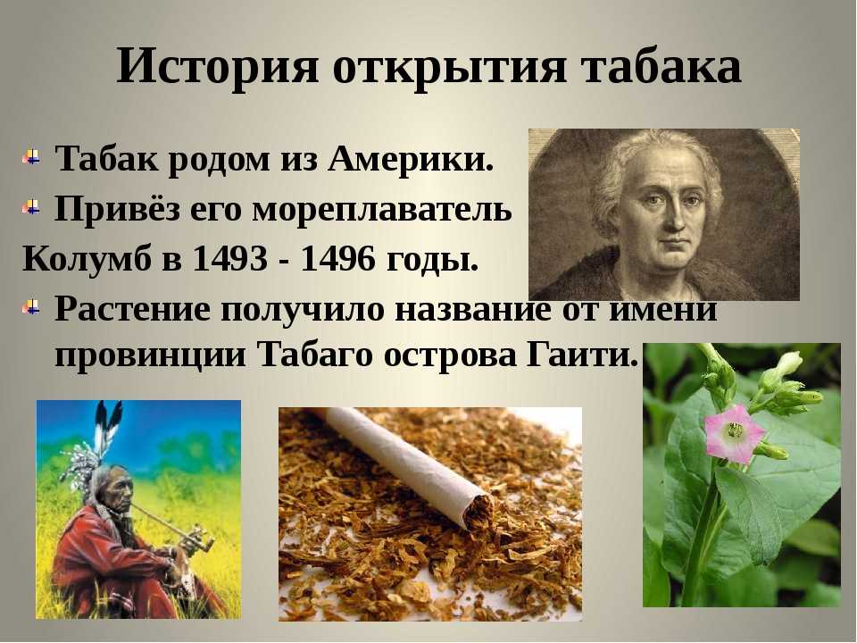 Табак: лечебные свойства и противопоказания, польза и вред