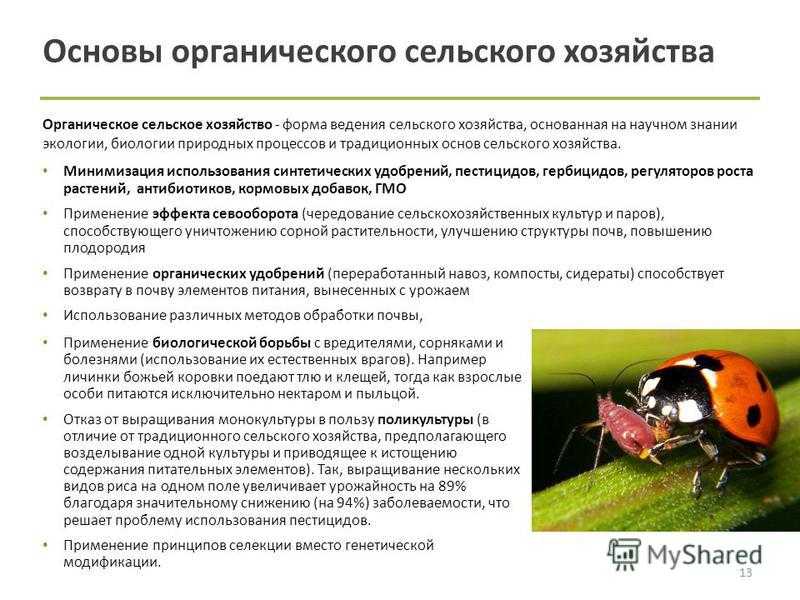 Биологические методы борьбы с вредителями проект