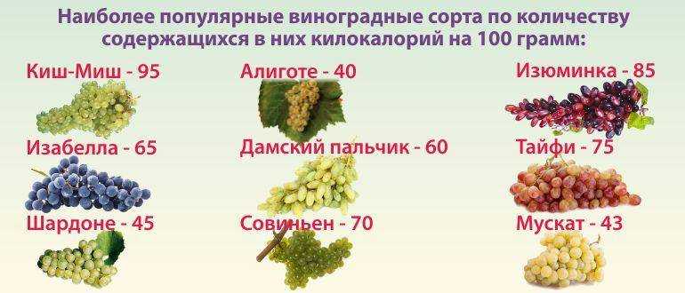 Чем полезен виноград для организма, сколько в нём калорий