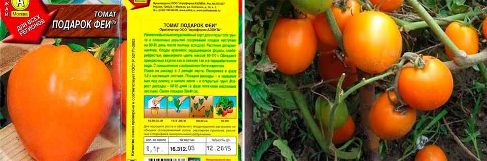 Сорт с мясистыми плодами — томат пинк f1: описание помидоров и советы по выращиванию