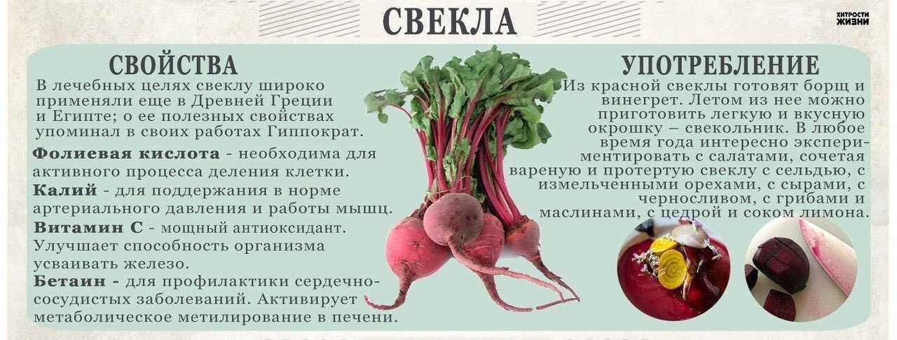 Овощи для похудения: какие полезны при снижении веса, рецепты диетических блюд | официальный сайт – “славянская клиника похудения и правильного питания”