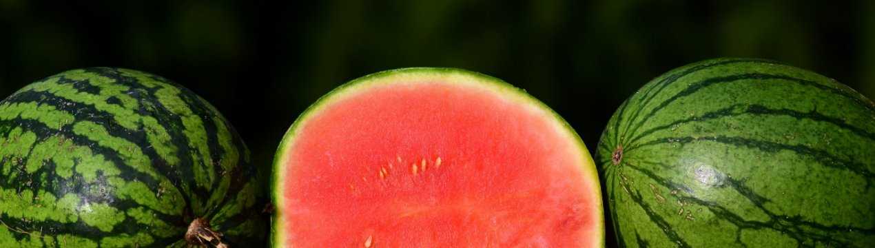Арбуз без косточек: бессемянные сорта и их особенности, как размножаются большие зеленые ягоды без семечек