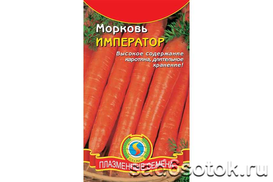 Морковь император: описание сорта, отзывы, фото, выращивание