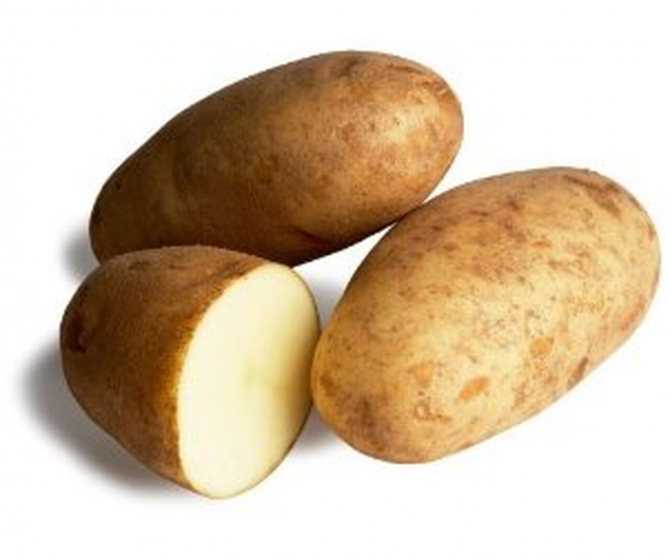 Картофель бриз: характеристика сорта, особенности выращивание и ухода