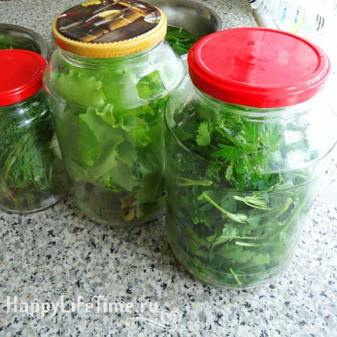 15 советов: как дольше сохранить зелень свежей в холодильнике