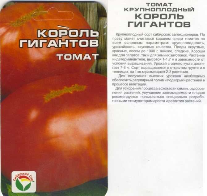 Томат гигант красный: как вырастить, описание сорта русский фермер