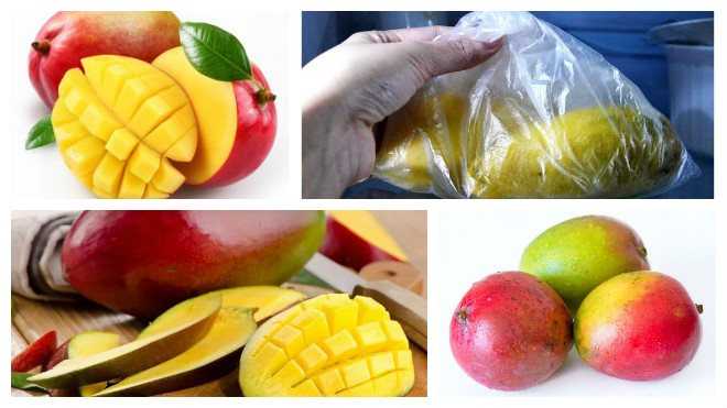 Как хранить авокадо: сколько хранится фрукт в домашних условиях в холодильнике