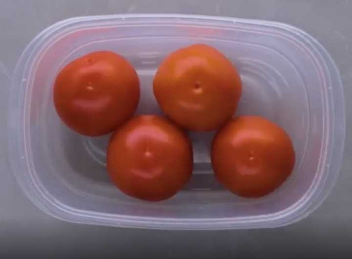 Домашнее хранение вяленых помидоров