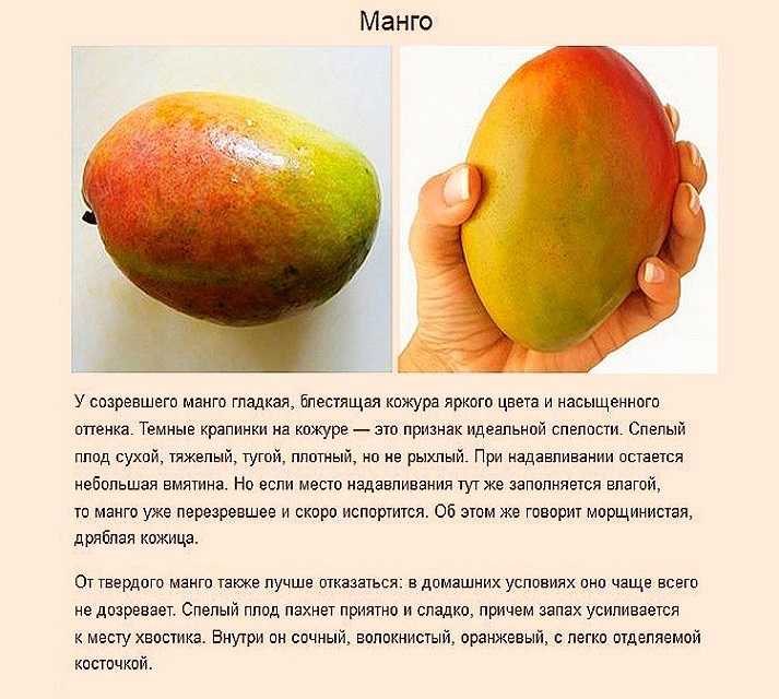 Как сделать манго спелым: 9 шагов (с иллюстрациями)