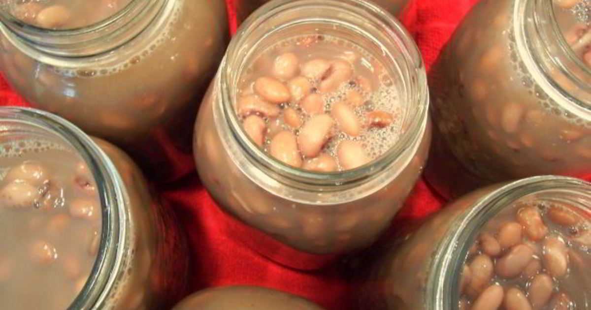 Фасоль в томате на зиму, как в магазине – 7 рецептов консервированной фасоли в домашних условиях
