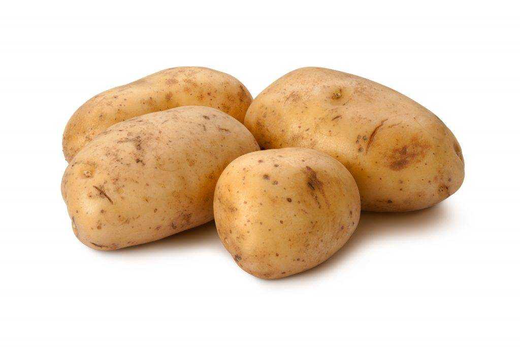 Сорт картофеля чародей: описание и характеристика, отзывы