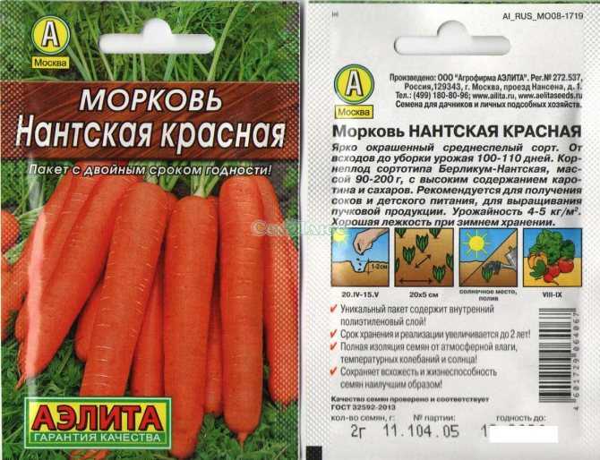 Самые лучшие сорта моркови для открытого грунта, хранения, ранние, крупные