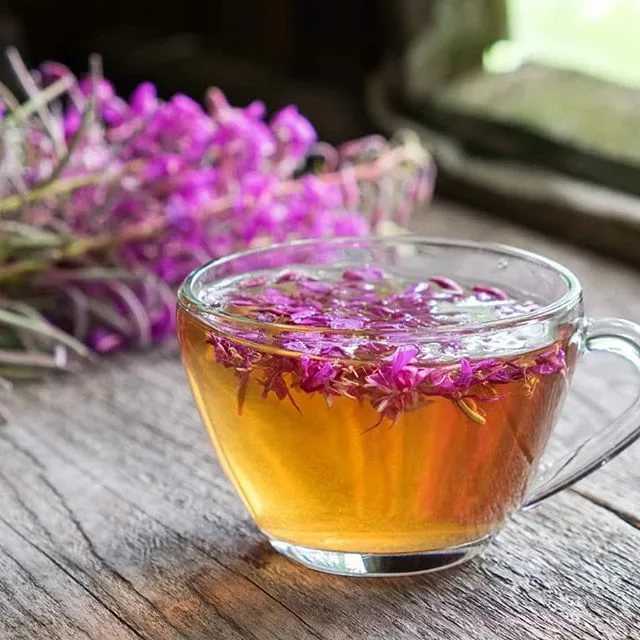 Чай с базиликом: полезный освежающий напиток