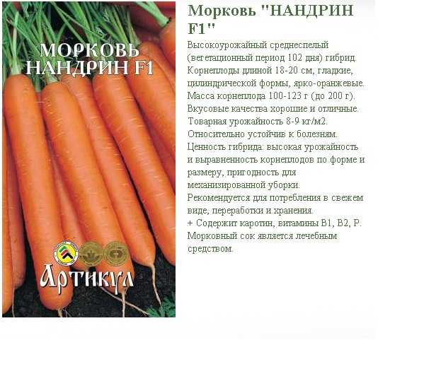 Морковь «канада f1»: описание гибридного сорта, фото и отзывы