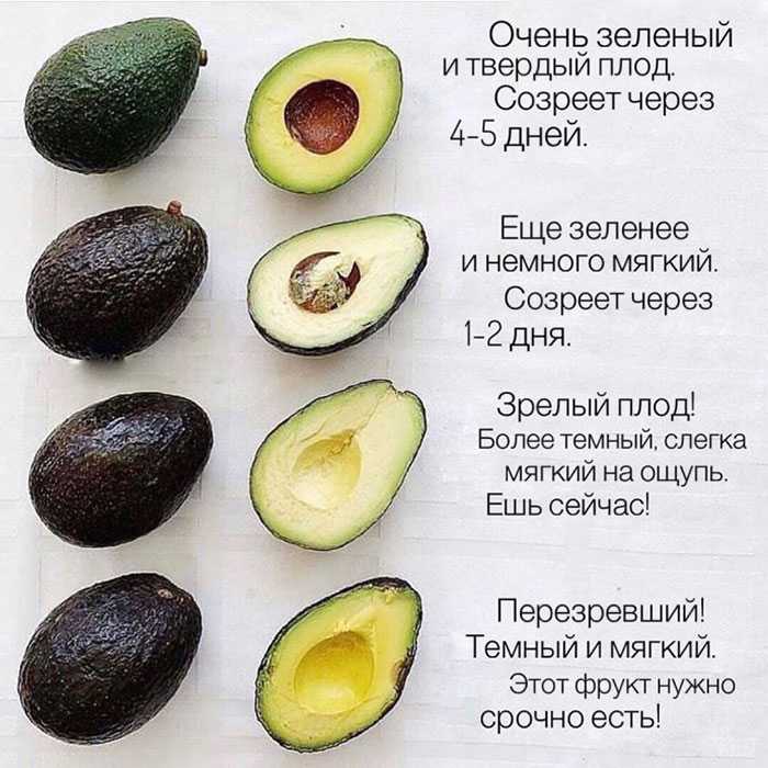 Как правильно хранить авокадо | что и как хранить