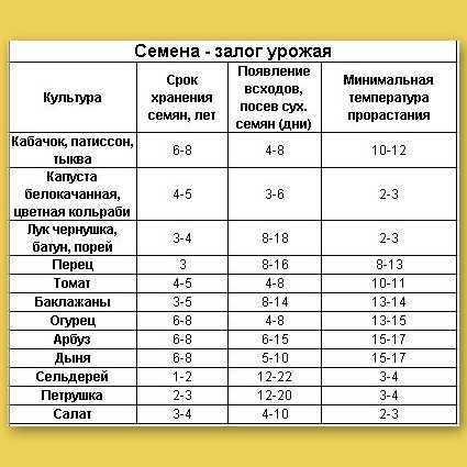 Как вырастить семена редиса? - все тонкости и хитрости