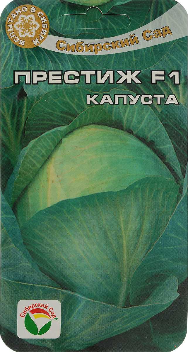 Капуста пандион f1: характеристика гибрида и отзывы о вкусовых качествах, описание урожайности сорта и фото