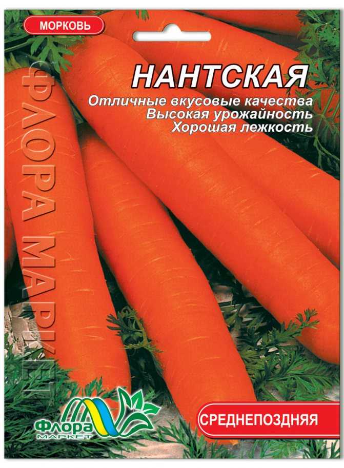 Лучшие ранние сорта моркови для регионов россии