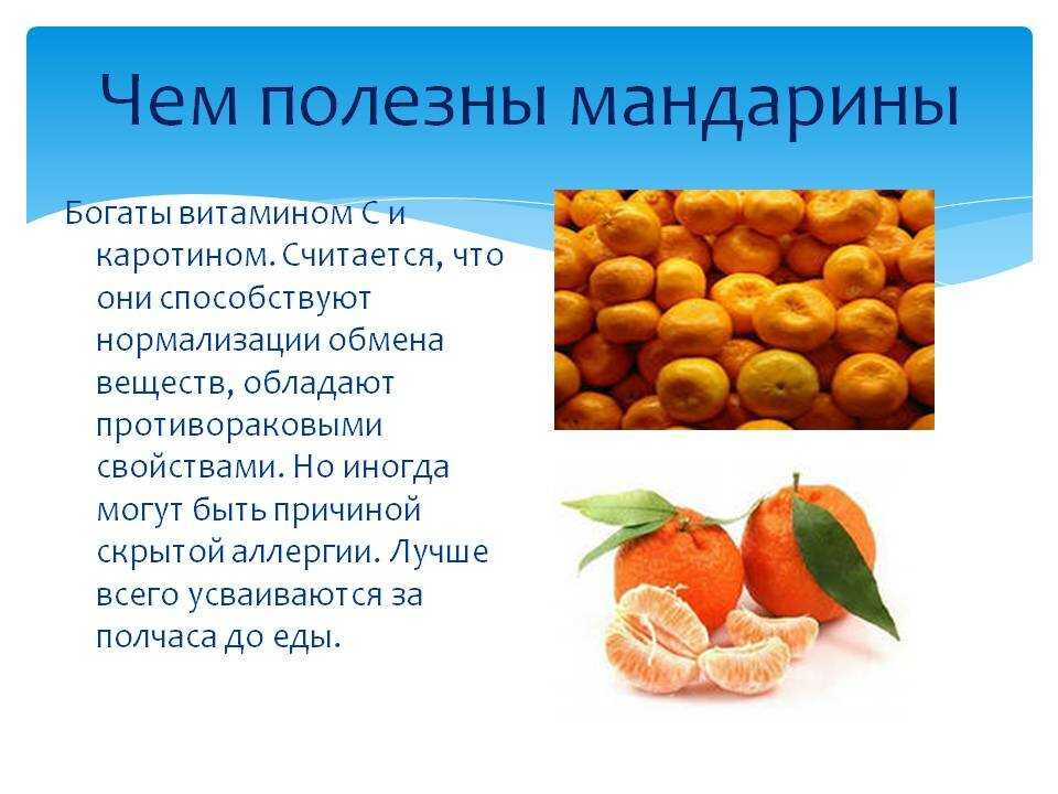 Мандарин - 95 фото самых лучших сортов цитрусового дерева