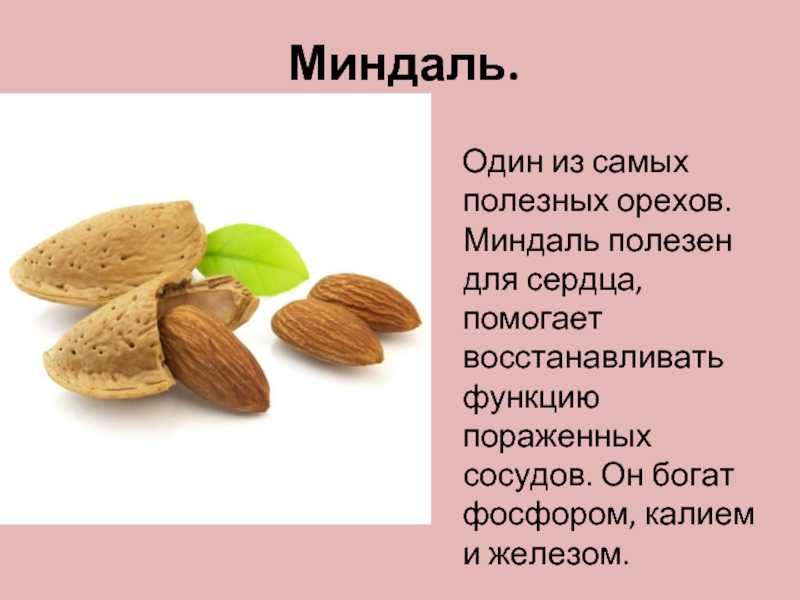 Орехи миндаль польза и вред для женщин