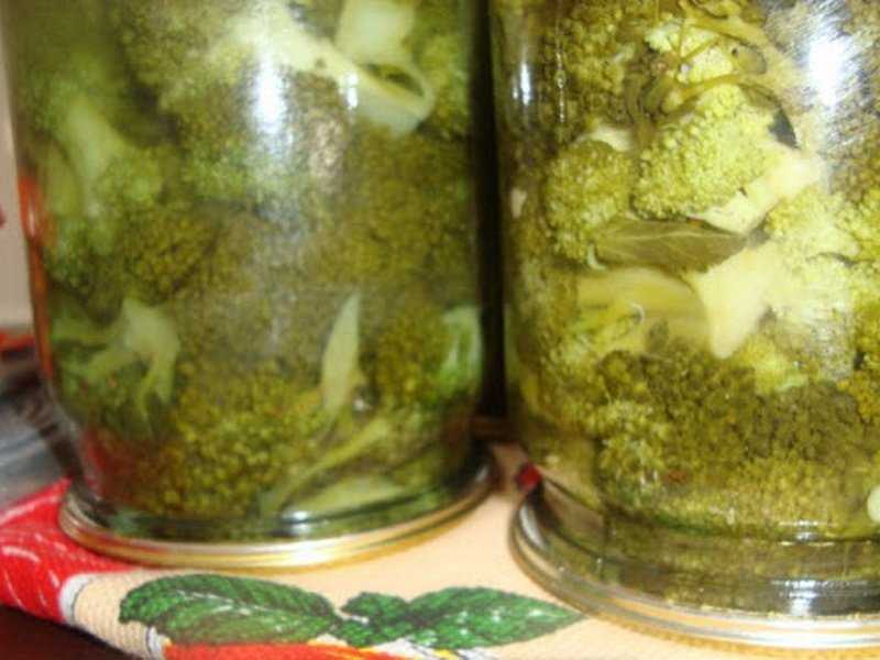 Рецепты приготовления капусты кольраби на зиму со стерилизацией и без, заморозка и хранение