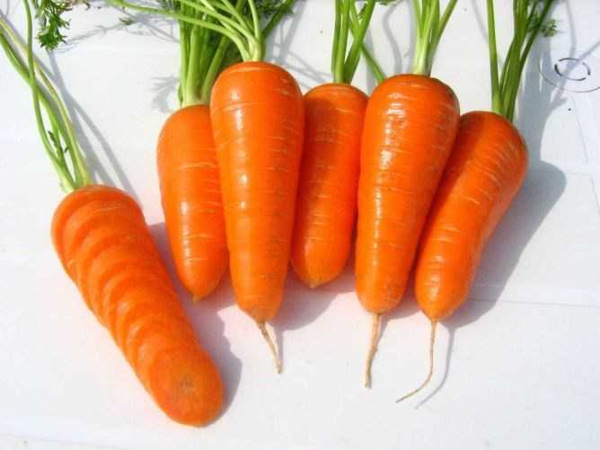 Почему появляется зелёная сердцевина у моркови?