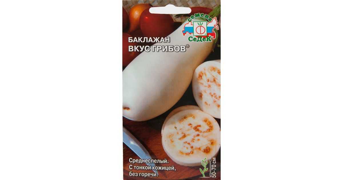 Баклажаны вкус грибов: отзывы, рецепт приготовления, характеристика и описание сорта, фото