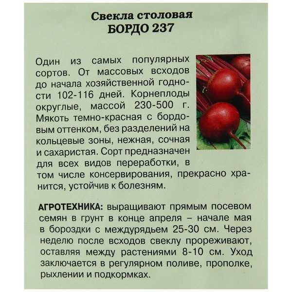 Лучшие сорта свеклы