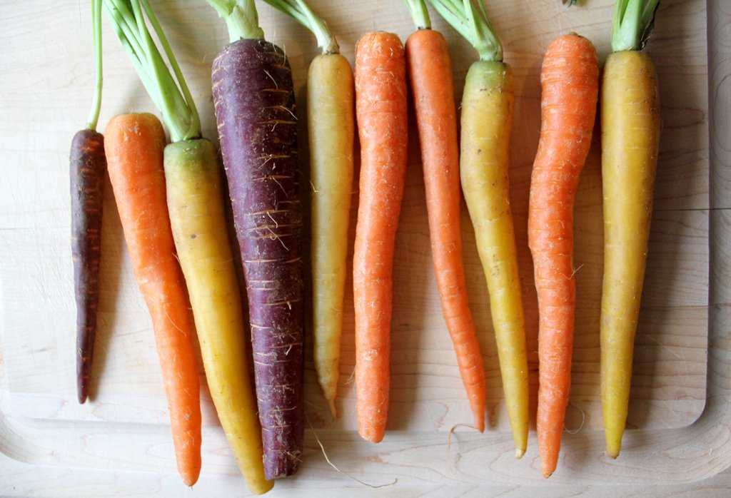 Почему у моркови сердцевина белая: большая и бледная, а не оранжевая или желтая внутри