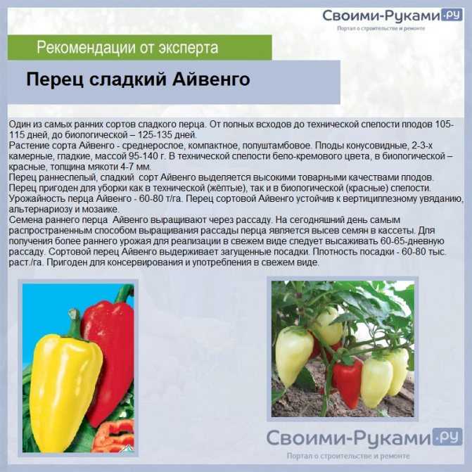 Перец купец: описание, характеристика и урожайность, вкусовые качества сорта, фото