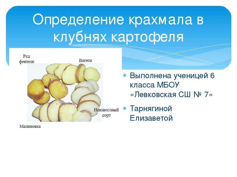 Сырье бродильных производств. картофель
